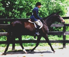 AllySmall.jpg (52884 bytes)