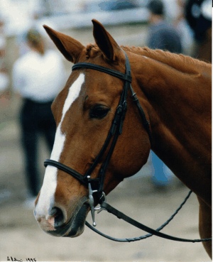 Annie3.jpg (52608 bytes)