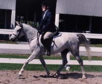 Hollyflatsmall.jpg (19910 bytes)