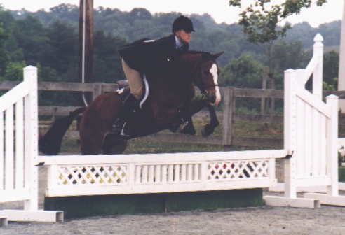 Maggie2.jpg (91335 bytes)