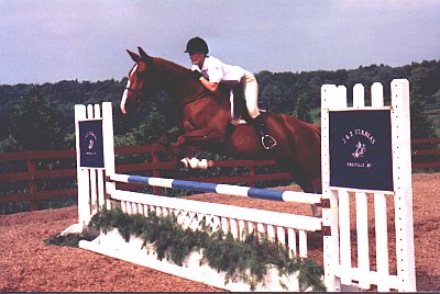 annie1.jpg (35383 bytes)