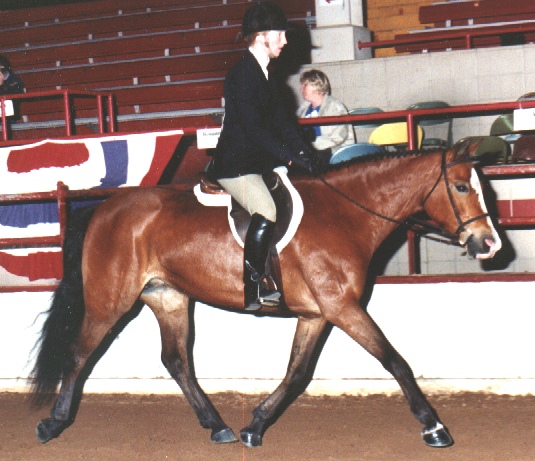 maggie99a.jpg (122930 bytes)