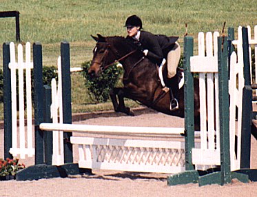 rosie1.jpg (41627 bytes)