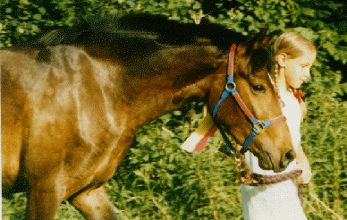 rosie4.jpg (74046 bytes)